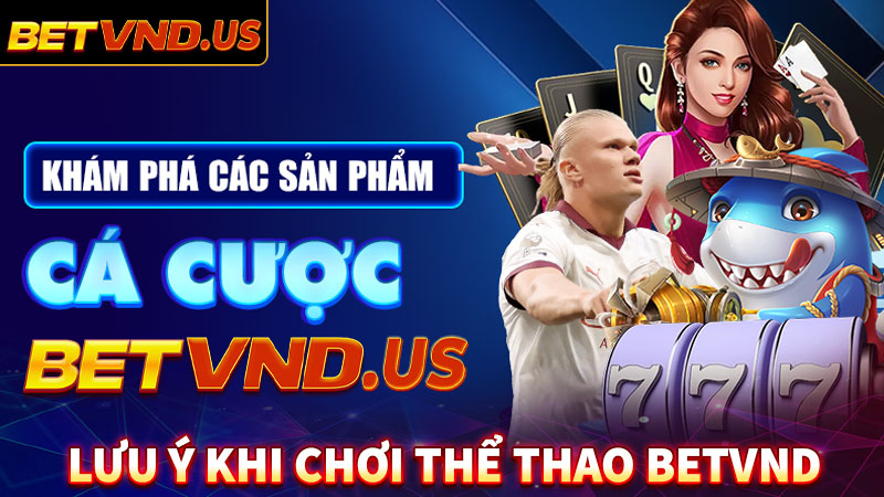 Một số điều anh em cần lưu ý khi tham gia cá cược thể thao betvnd 